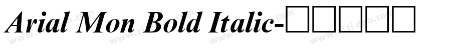 Arial Mon Bold Italic字体转换